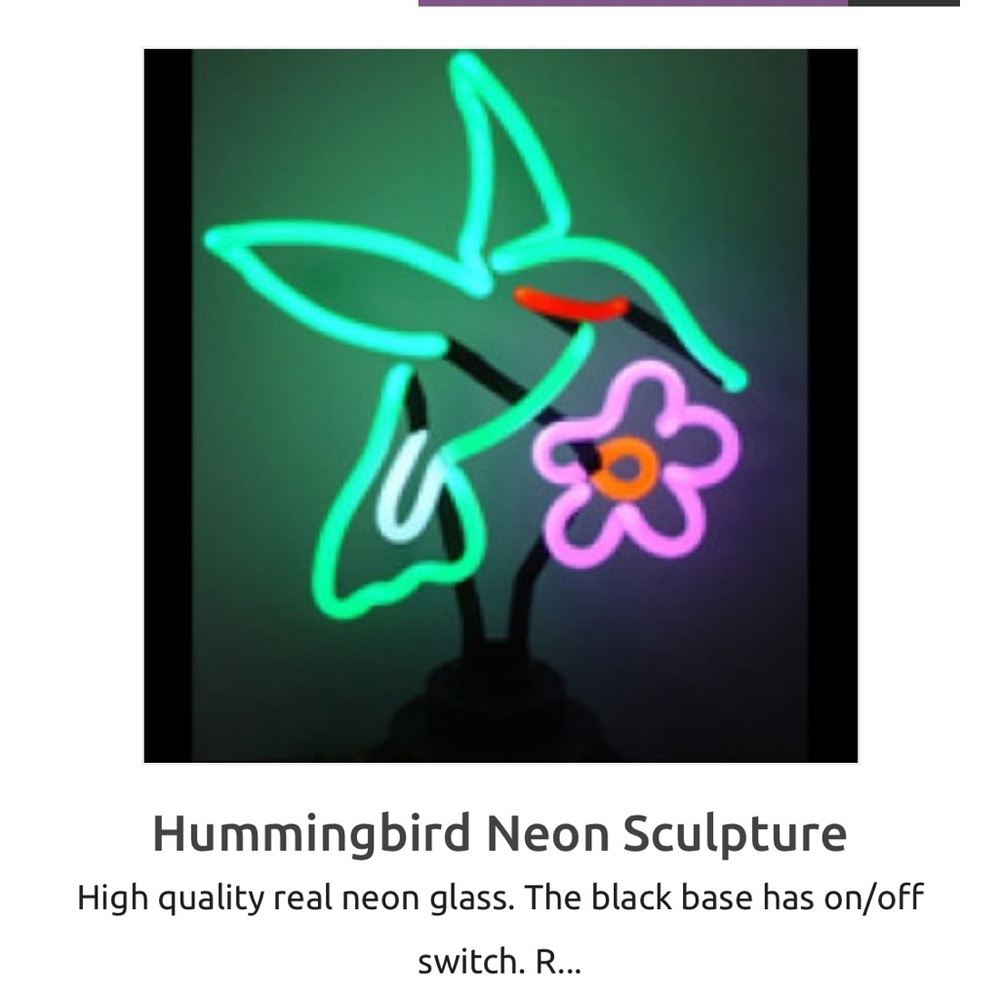 Neon Hummingbird Sign